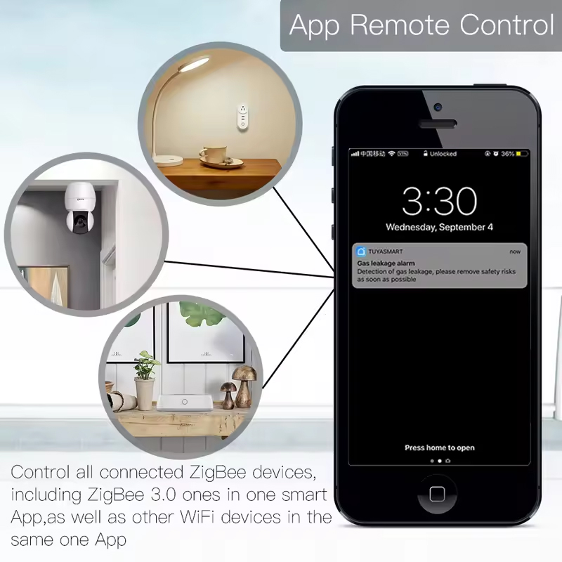 Moes Tuya ZigBee 3.0 Smart Gat - огляд і ціна Smart Home Nest