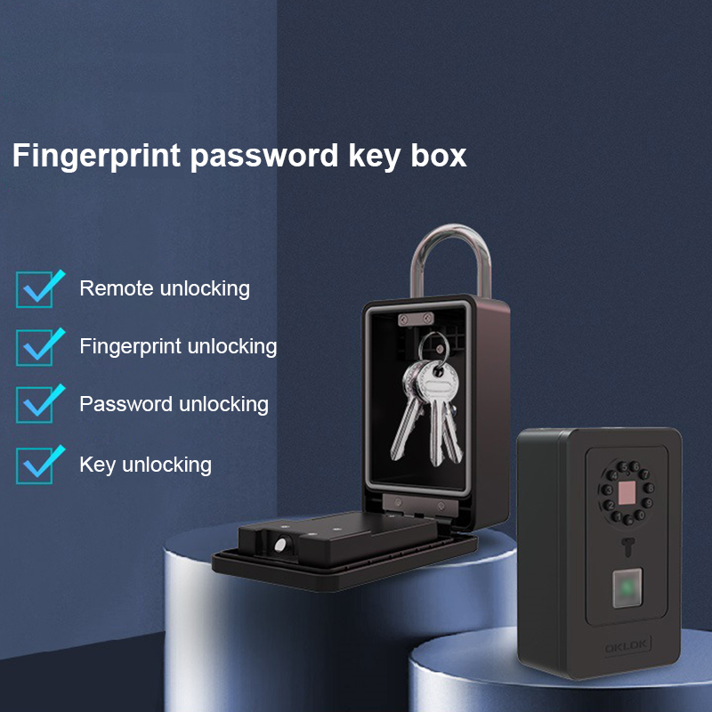 Intelligent Padlock Hang Desig - огляд і ціна Smart Home Key