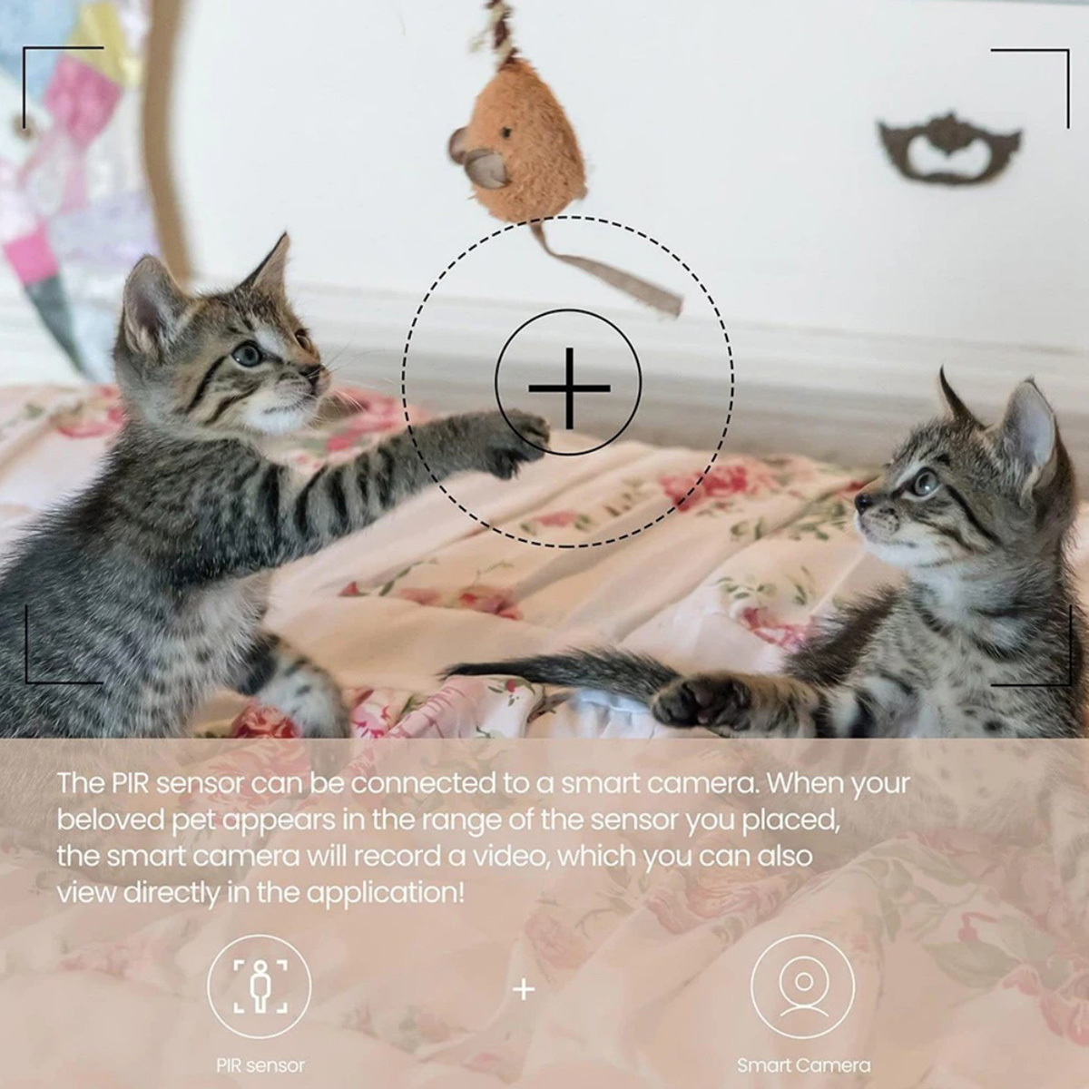 ZigBee 3.0 PIR Motion Sensor W - огляд і ціна Smart Home Website