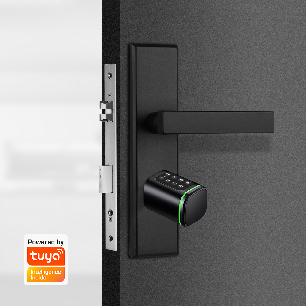 Smart Cylinder Lock Tuya 60-90 - огляд і ціна Smart Home Website