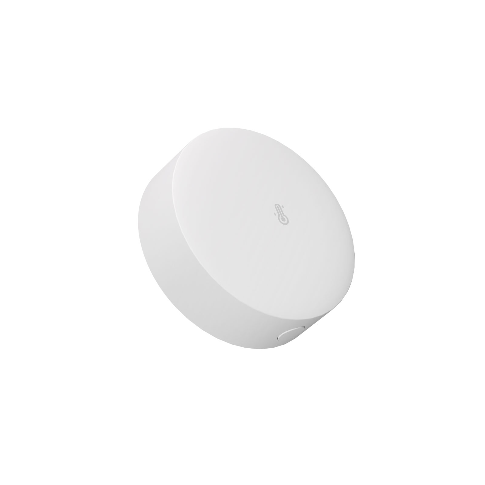 SONOFF SNZB 02P EWeLink Smart  - огляд і ціна Smart Home Bridge