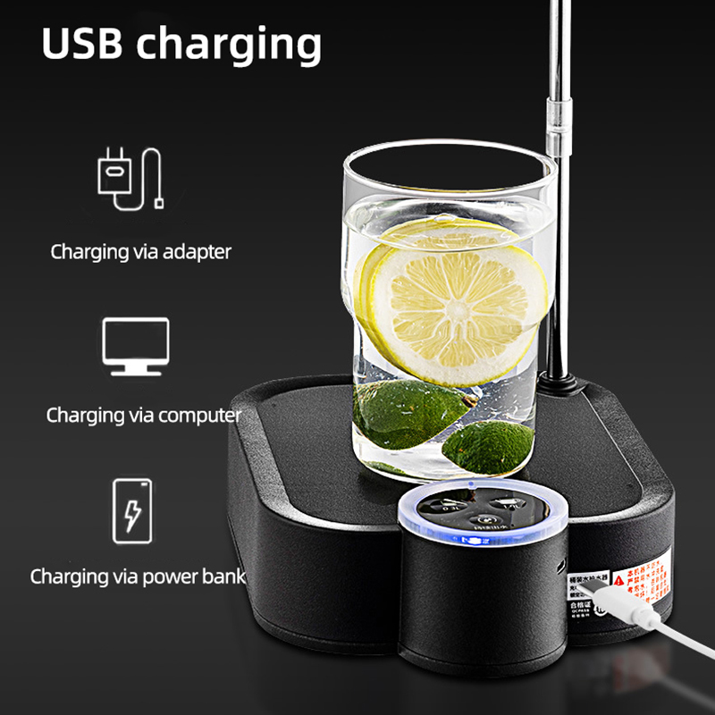 Smart Electric Water Pump Rech - огляд і ціна Smart Home Yam Pounder